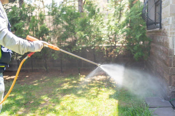 Best Pest Prevention Services  in Hewitt, TX