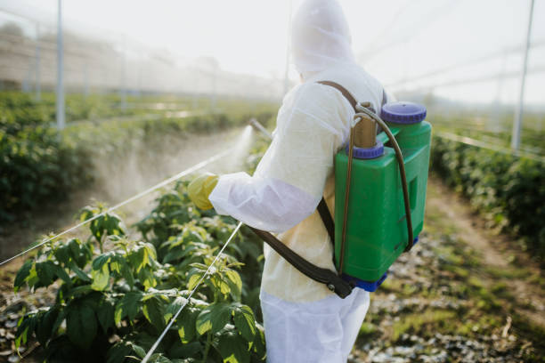Best Affordable Pest Control Services  in Hewitt, TX